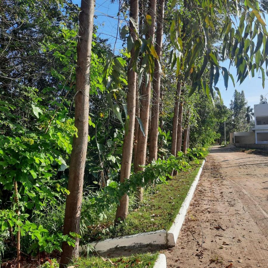 Viva! 1 Casa Nova Em Condominio Entre Maragogi E Carneiros São José da Coroa Grande Eksteriør bilde